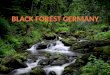 BLACK  FOREST GERMANY