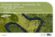 ‘Exchange-Value’ Accounting for Ecosystem Services