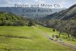 Foster and Moss Co. Cattle Ranch