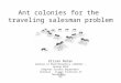 Ant colonies for the  traveling  salesman  problem