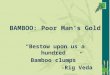 BAMBOO:  Poor Man’s Gold