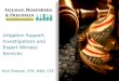Litigation Support, Investigations and Expert Witness Services