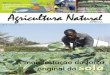 Ravista Agricultura Natural África