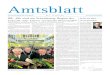 Amtsblatt Freiberg