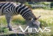 VIEWS Magazine July 2011