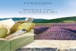 L'Occitane en Provence Corporate Catalogue 2011