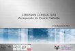 Comision Consultiva del Aeropuerto internacional de Puerto Vallarta 2013
