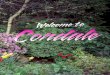 "Welcome To Condale" by Summer Camp