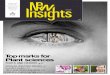 New Insights 2012