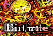 Birthrite Press Info