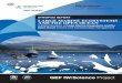 GEF IW Synopsis Report - Large Marine Ecosystems and the Open Ocean