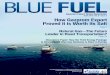 Blue Fuel #19 | April 2013 | Vol. 6 | Issue 2