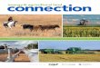Energy & Agricultural Land Connection