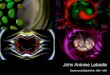 John Antoine Labadie: Experimental Digital Work 1996 - 1997