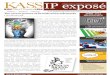 KASS IP exposé - April 2013