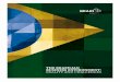 The Brazilian Business Environment: Reality And Challenges