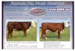 World Hereford Conference Post Tour Supplement