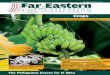 Far Eastern Agriculture Issue 3 2014