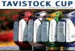 Tavistock Cup Marketing Brochure 2012