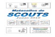 Matasellos de SCOUTS - Cancels of SCOUTS