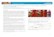 Quantitation and Identification of 13 Azo-dyes in Spices using lcmsms