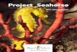 Project Seahorse Annual  Report