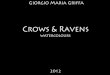 Crow & Ravens