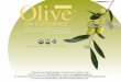 Olive Essence Spa Experience