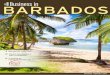 Business in Barbados 2011