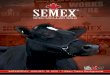 Australia - Semex Spectacular Sale Catalogue 2012
