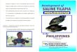Development of Saline Tilapia (Molobicus)