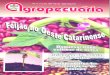 Revista Agropecuária Catarinense - Nº44 setembro 1998