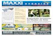 Jornal MAXXI Anncios