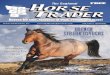 The Regional Horse Trader Magazine - April 2011 Issue