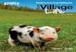Your Village Life  Issue 7