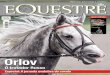 Revista Mundo Equestre | Agosto 2009