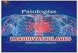 Patologías Cardiovasculares