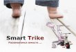 Smart Trike - bicycle