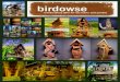 birdhouses by birdowse