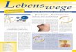 Lebenswege - Zeitschrift für Krebspatienten und ihre Angehörigen Ausgabe 38