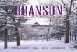 Branson Limited Edition Sale 2009