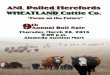 9th Annual ANL Wheatland Focus on the Future Bull Sale
