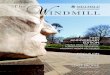 Millfield Windmill Issue4