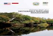 Research Brief 2013: Sustainable Peatland Management