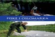 Fiske i Oslomarka