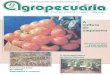 Revista Agropecuária Catarinense - Nº22 junho 1993