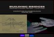 Rapport Building Bridges 2012