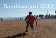Bambisanani 2012: Faster, Higher, Stronger