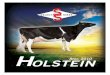 Holstein Sire Directory (April 2010) - Select Sires, Inc
