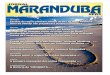Jornal Maranduba News #08